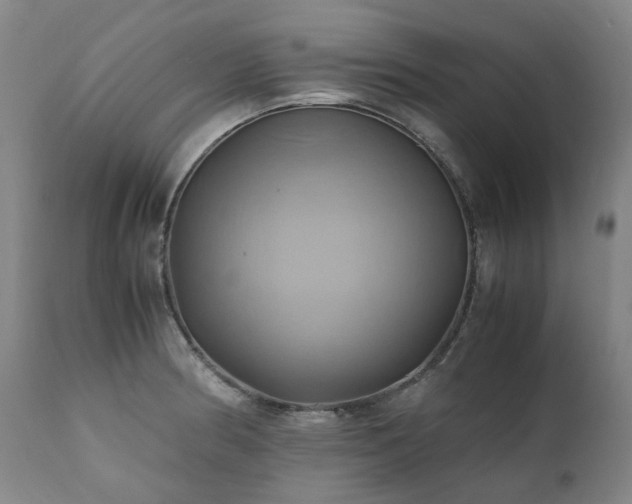 X0000110971186200906191328