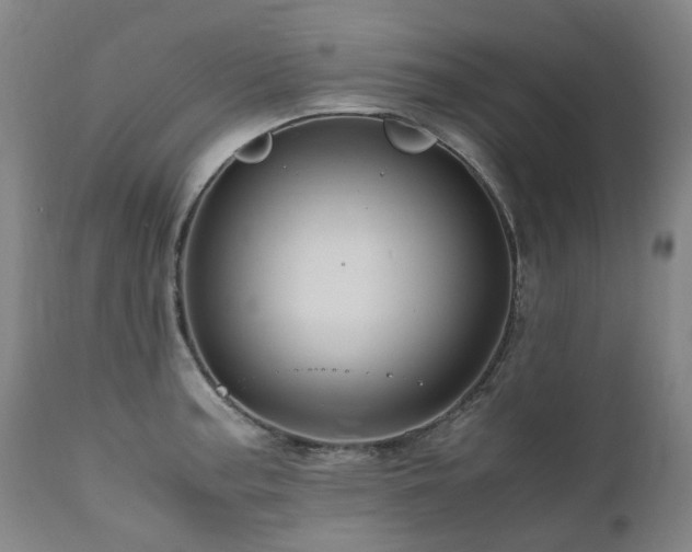 X0000110971187200906191328