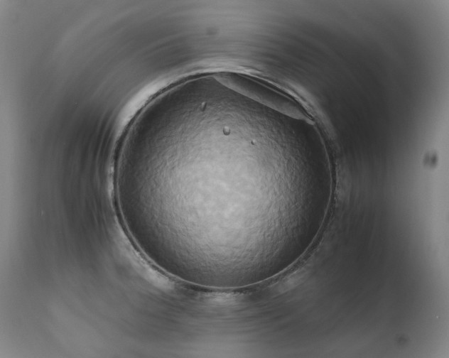 X0000110971188200906191328