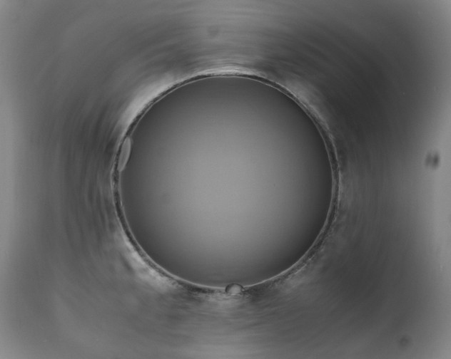 X0000110971189200906191328