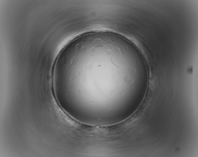 X0000110971191200906191328