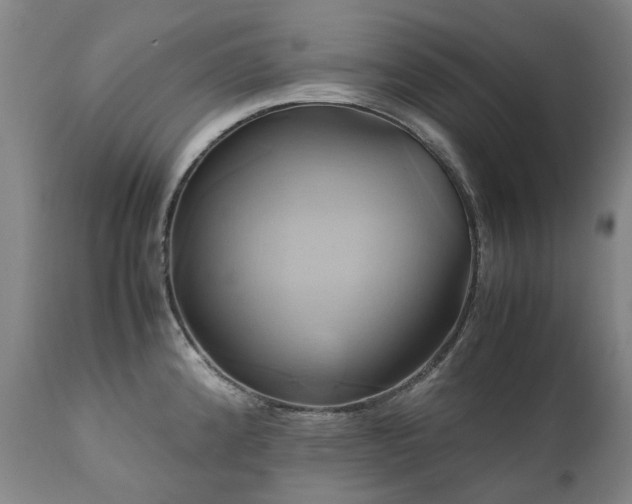 X0000110971192200906191328