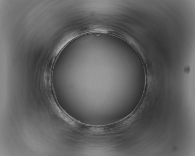 X0000110971194200906191328