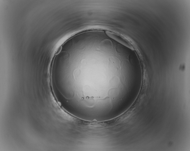 X0000110971199200906191328