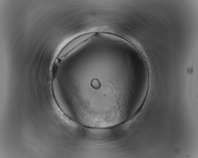 X0000110971200200906191328