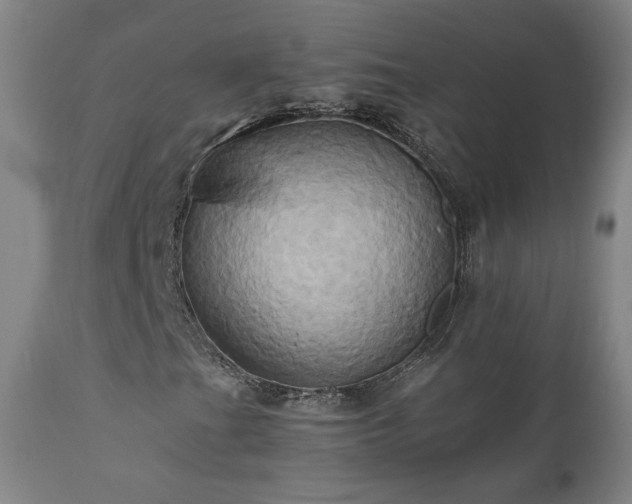 X0000110971201200906191327