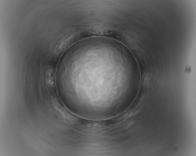 X0000110971202200906191327