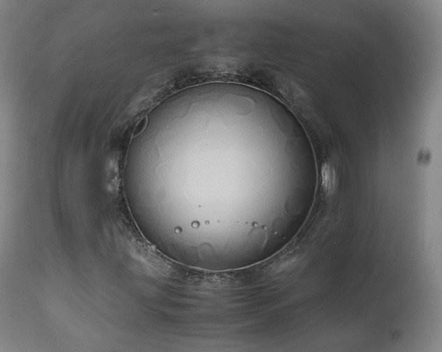 X0000110971203200906191327