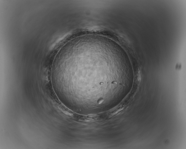 X0000110971205200906191327