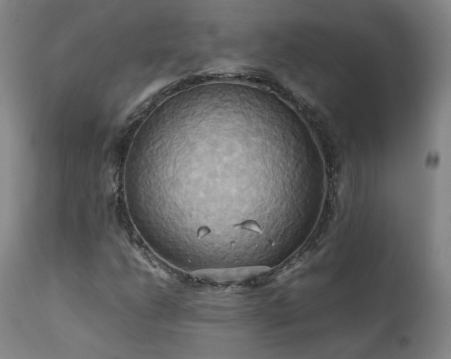 X0000110971206200906191327