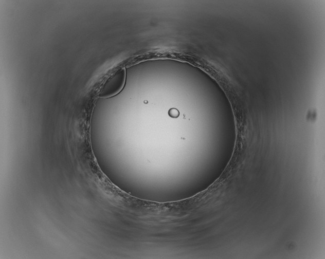 X0000110971207200906191327