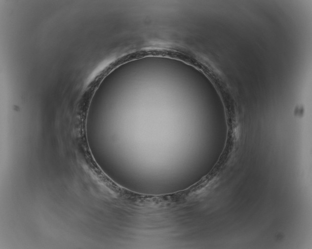 X0000110971208200906191327