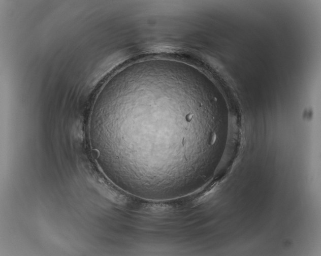 X0000110971209200906191327