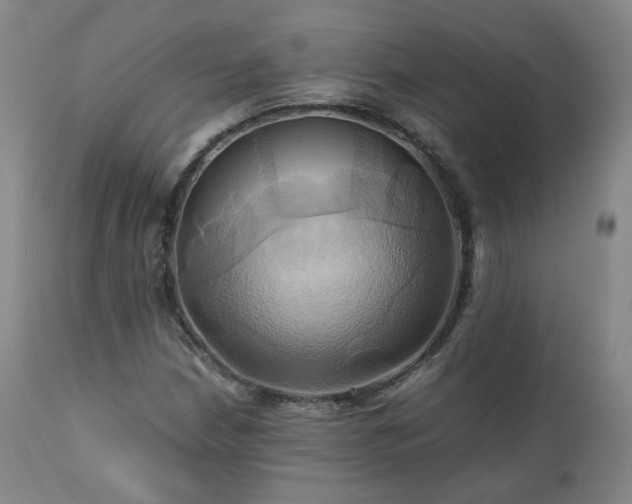 X0000110971210200906191327