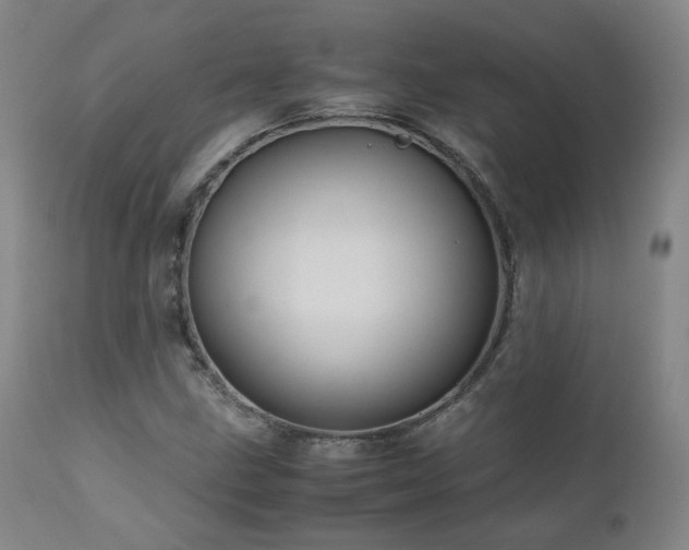 X0000110971211200906191327