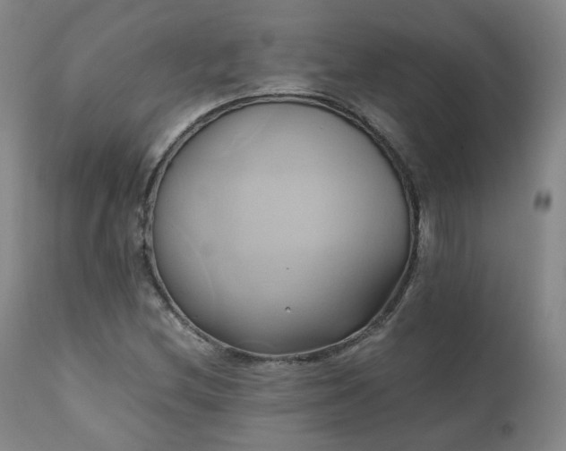 X0000110971212200906191327