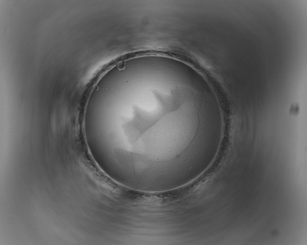 X0000110971214200906191327