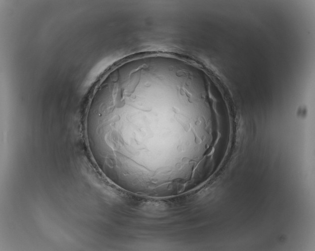 X0000110971215200906191327