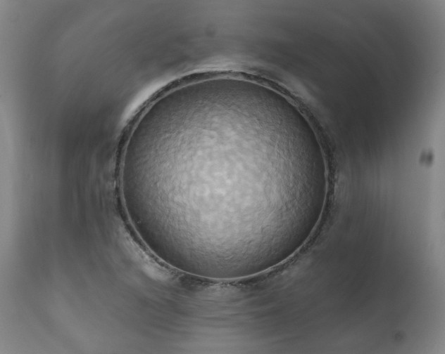 X0000110971216200906191327