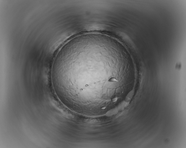 X0000110971217200906191327