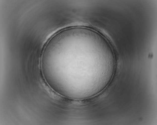 X0000110971220200906191328