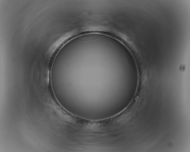 X0000110971221200906191328