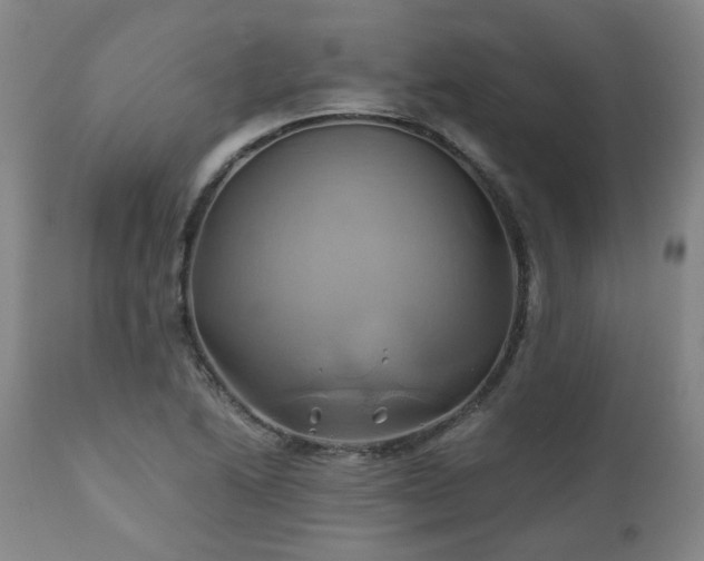 X0000110971222200906191328