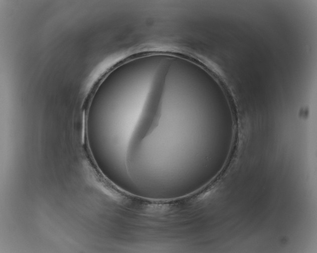 X0000110971223200906191328