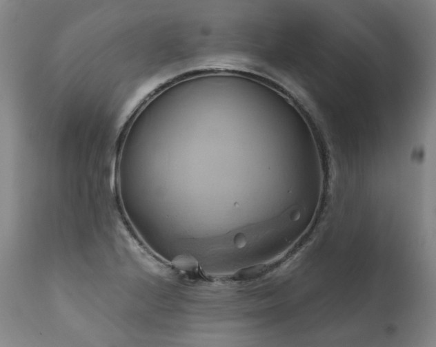 X0000110971224200906191328