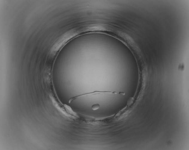 X0000110971225200906191328