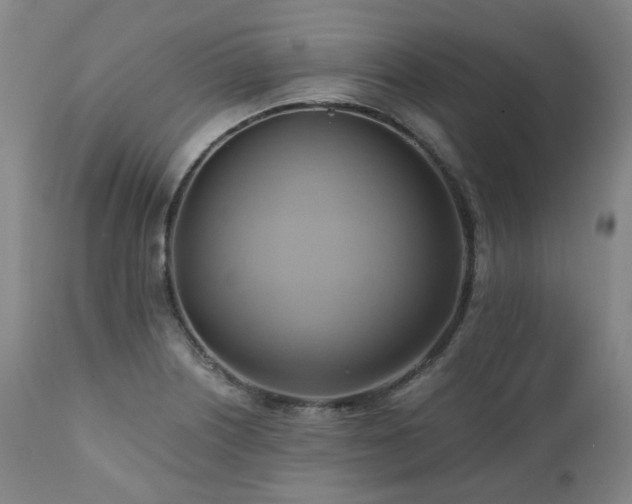 X0000110971226200906191328