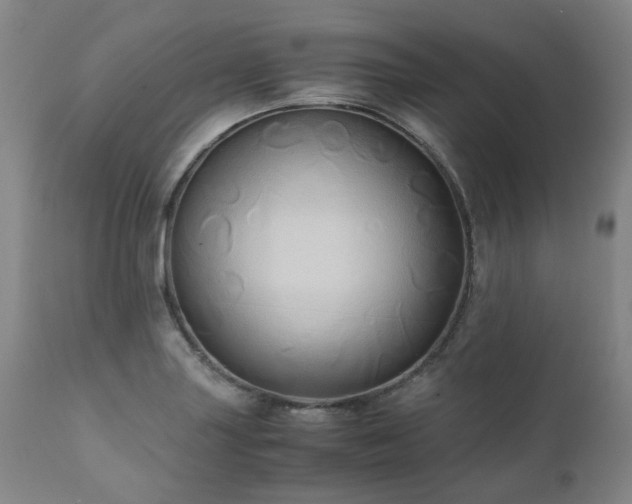 X0000110971227200906191328