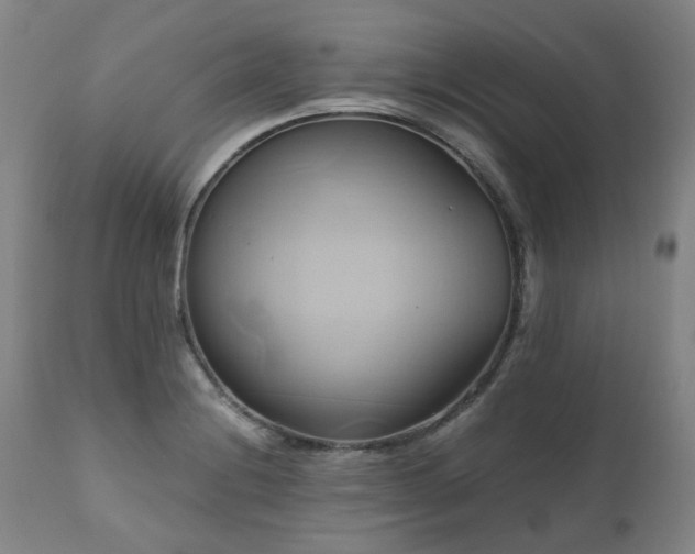 X0000110971228200906191328