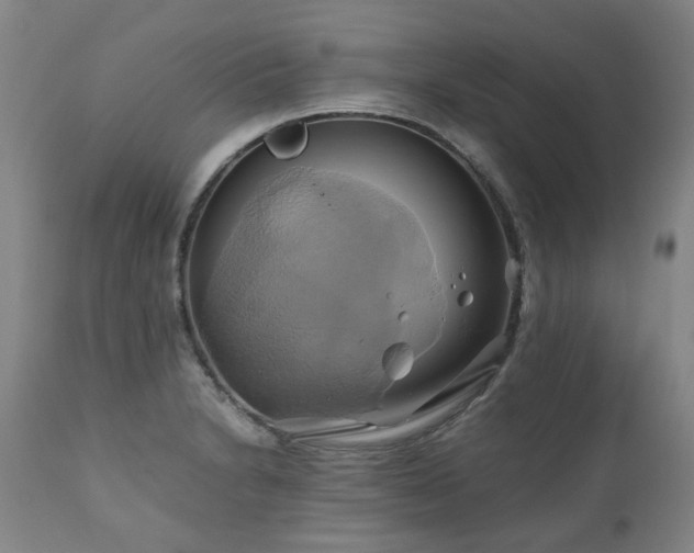 X0000110971230200906191328