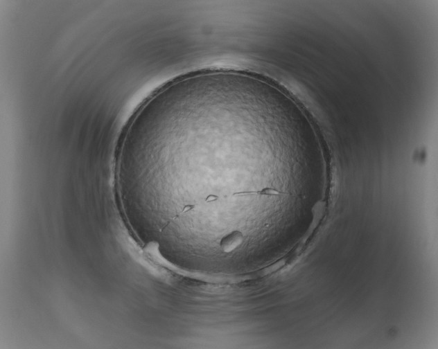 X0000110971232200906191328