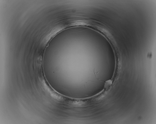 X0000110971233200906191328