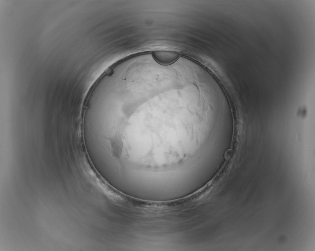 X0000110971236200906191328