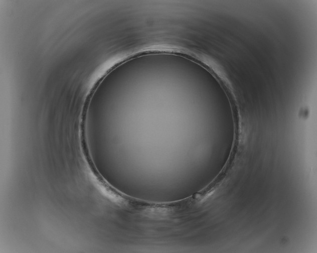 X0000110971237200906191328