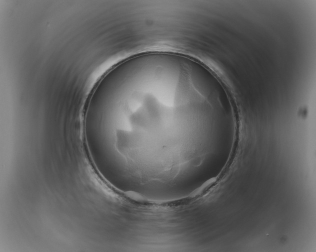 X0000110971238200906191328