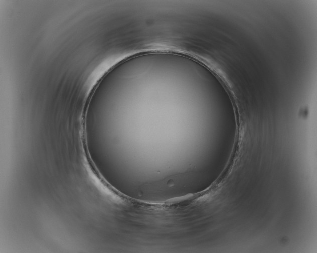 X0000110971239200906191328