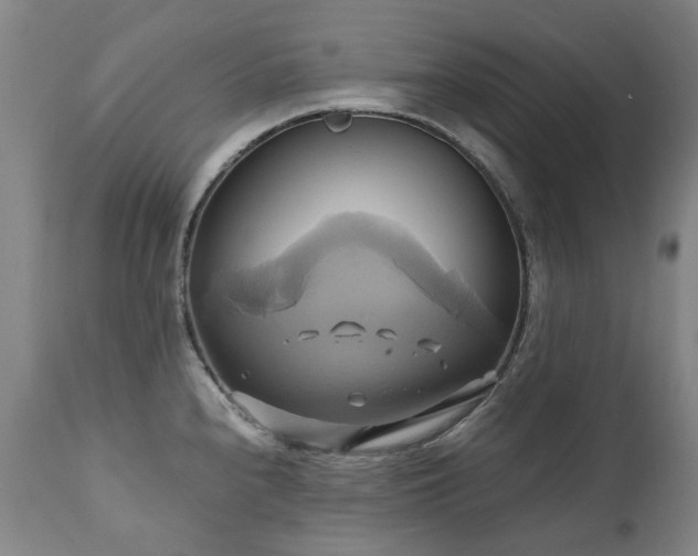 X0000110971240200906191328