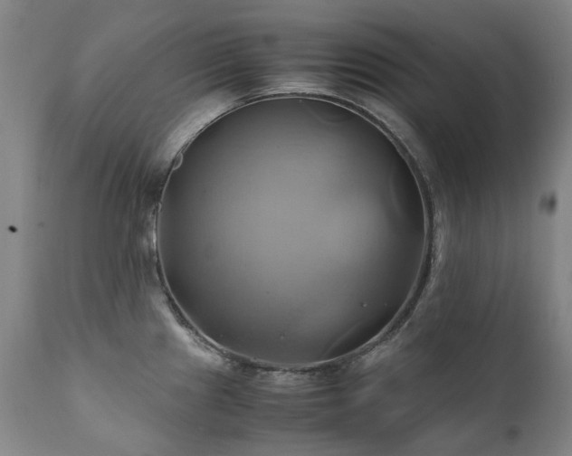 X0000110971241200906191328