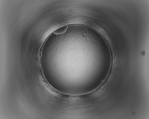 X0000110971242200906191328