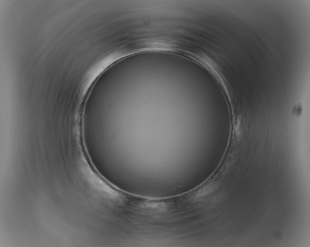 X0000110971243200906191328