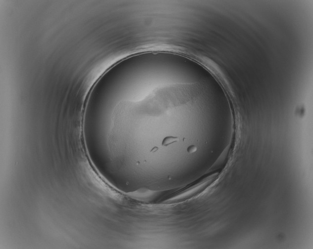 X0000110971244200906191328