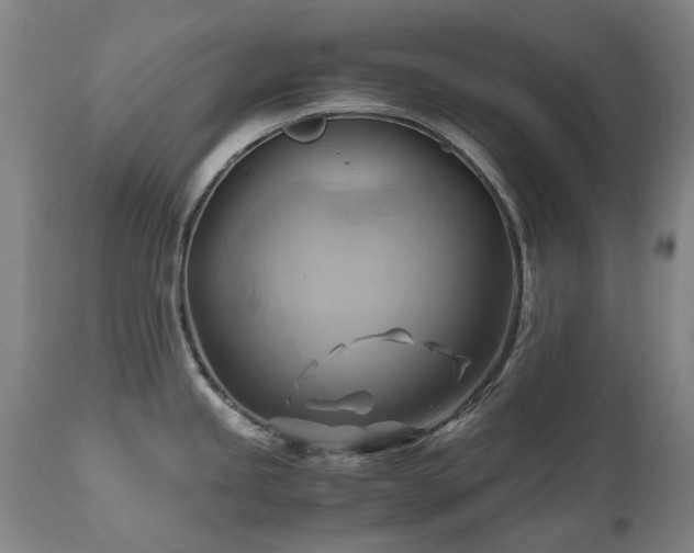 X0000110971245200906191328