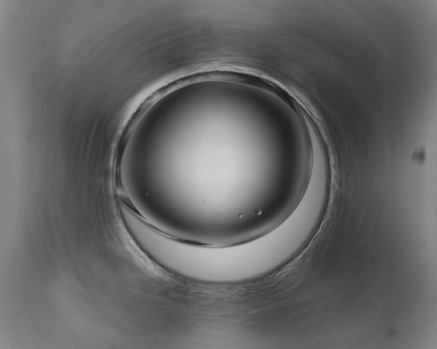 X0000110971246200906191328