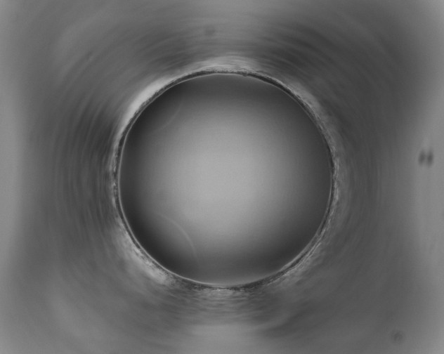 X0000110971248200906191328