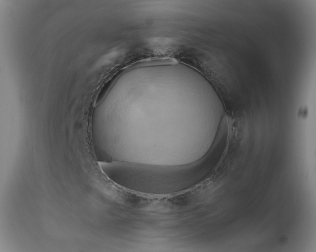 X0000110971249200906191327