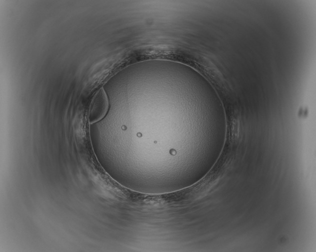 X0000110971250200906191327